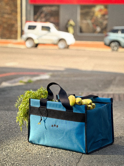 Cargo Tote in Teal pack with groceries